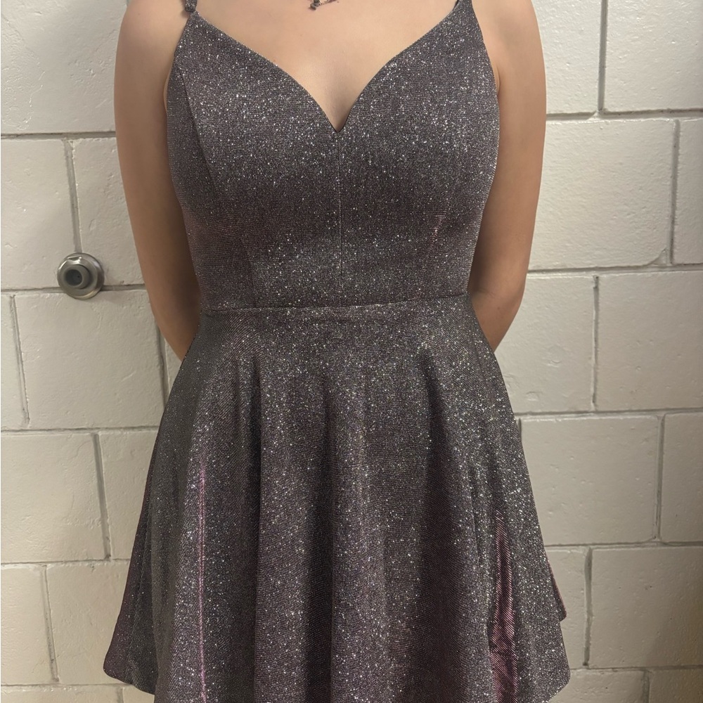 Windsor Sparkling Mini Dress